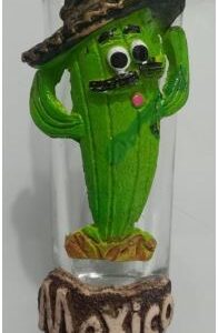Cactus #TC 47